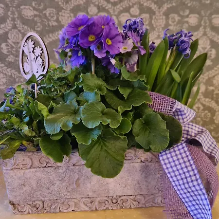 Koch 酒店 上陶恩