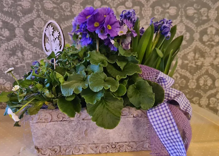 Koch 酒店 上陶恩